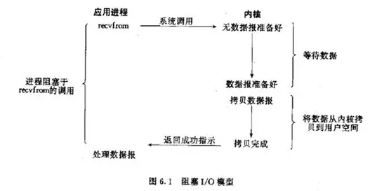 bio